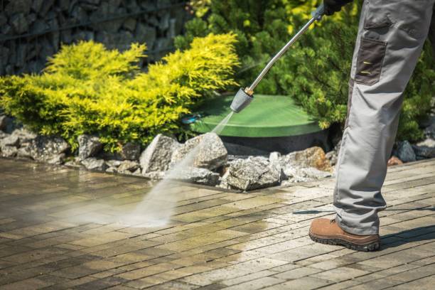 Best Boat and Dock Cleaning  in Tchula, MS