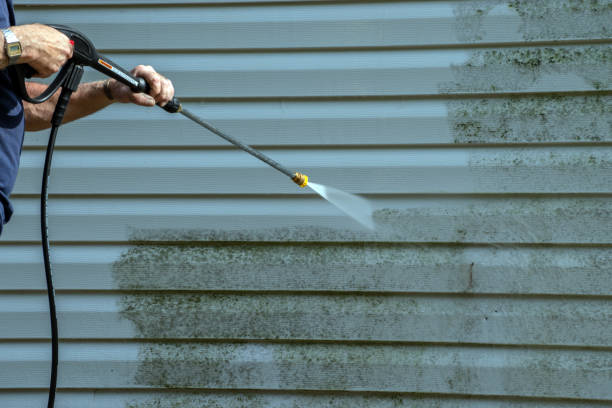 Reliable Tchula, MS Pressure Washing Services Solutions